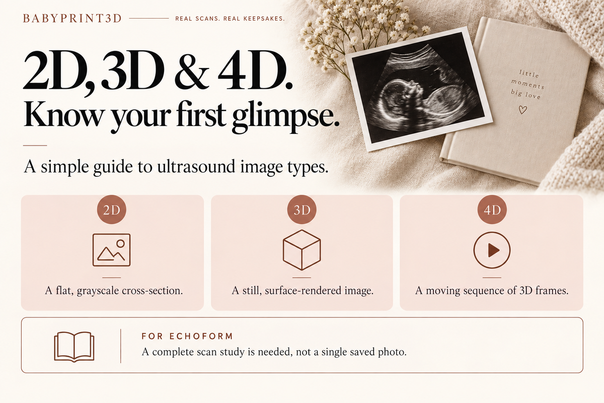 A guide comparing 2D grayscale cross-sections, 3D still surface images, and 4D moving frames, with a note that EchoForm requires complete scan data.